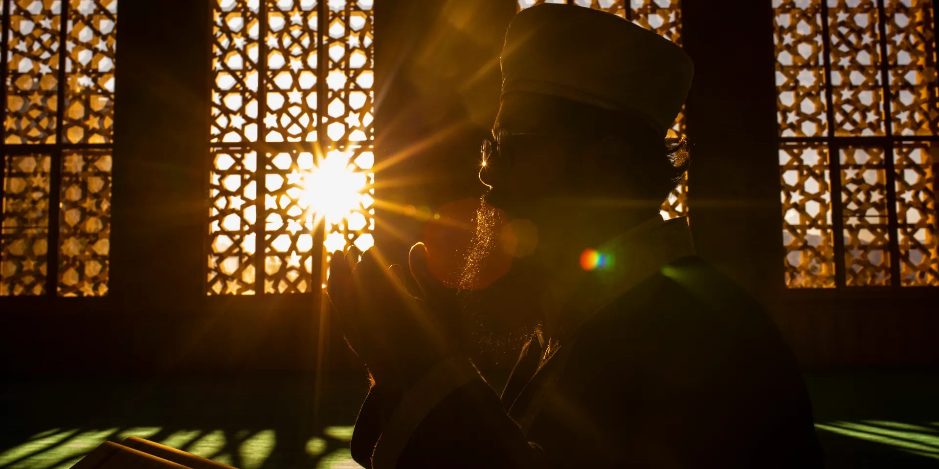 لهم قلوب (لا) يعقلون بها