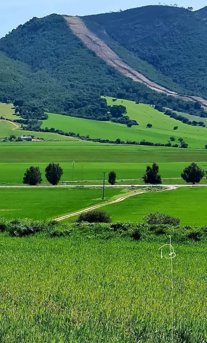 تونس الجميلة التي تفيض بكل خير ... ونحن عنه غافلون...